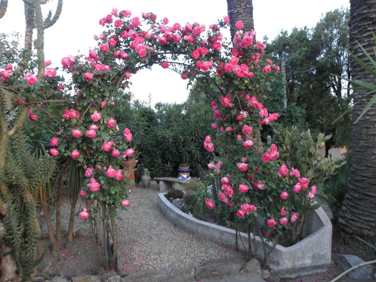 Villa Ingrid Gassin Exteriér fotografie